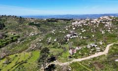 QUINTA SERRA DA ESTRELA