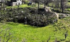 QUINTA SERRA DA ESTRELA